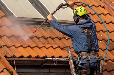 Démoussage et hydrofuge de toiture à Réau